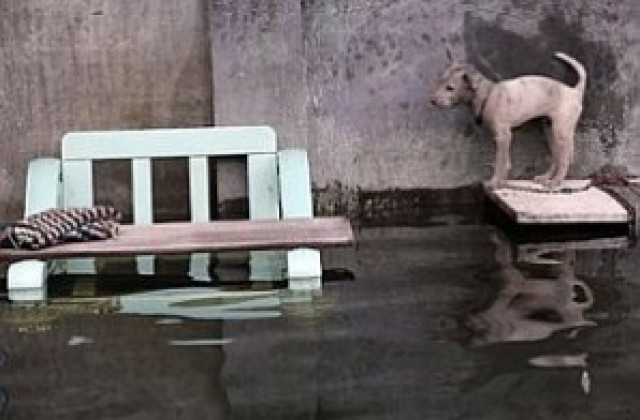 Санба остави без ток хиляди домакинства в Япония