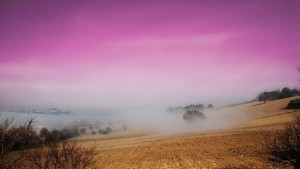 Как да оцелеем след края на света