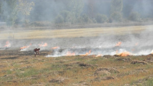 19 пожара за 2 дни в Силистренско от човешка безотговорност