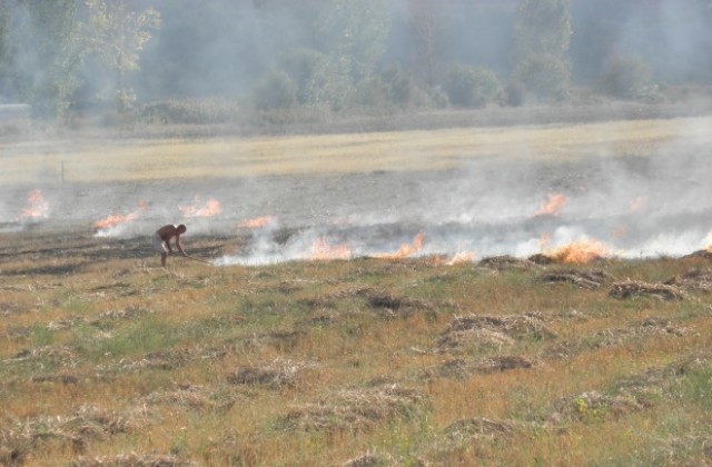 19 пожара за 2 дни в Силистренско от човешка безотговорност