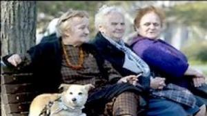 Установиха нарушения в дневен център в Чайка