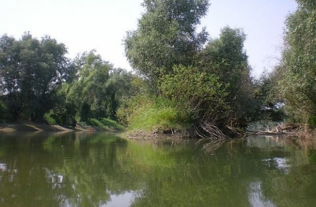 Откриха труп на жена в река Арда