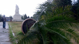 Жълт код за Варна заради силен вятър