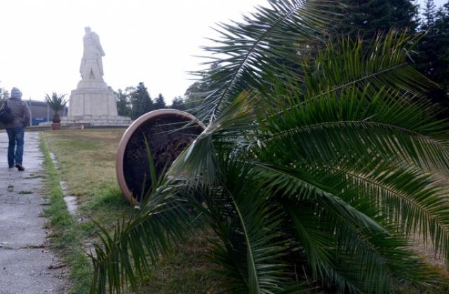 Жълт код за Варна заради силен вятър