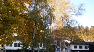 Лятото се завръща следващата седмица