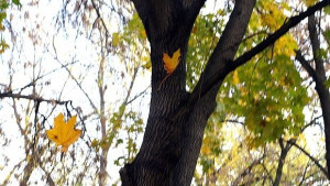 В 1748 часа идва астрономическата есен носи ни летни температури