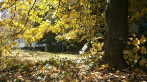 Слънчево с разкъсана облачност