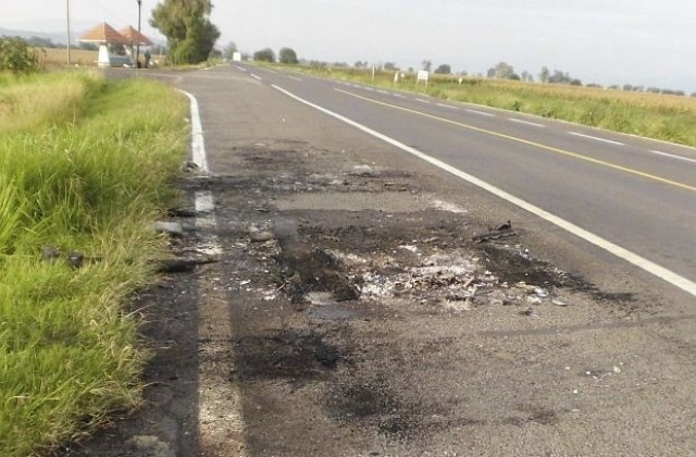 7 разчленени тела са открити на магистрала в Мексико