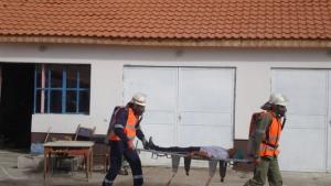 Пожарникари спасиха пострадали в Бяла