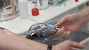 Наплив от кръводарители в Силистра