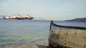 Следят онлайн улова на риба от морето