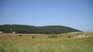 Международен ден на туризма