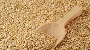 Провериха производители и търговци на зърно в Сливенско няма нарушения