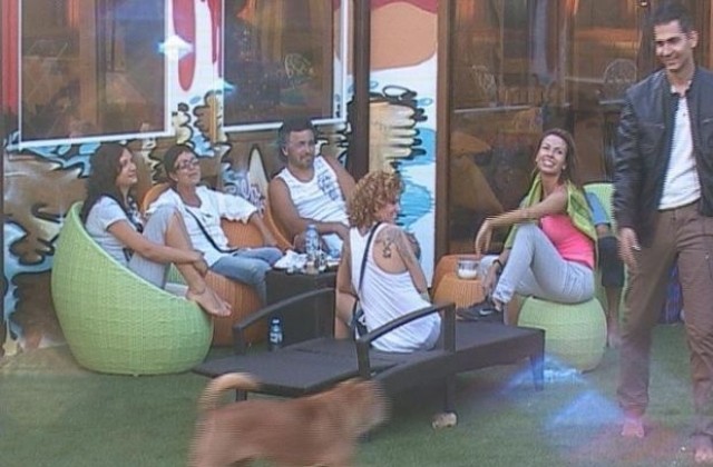 Съквартирантите във VIP Brother имат само 385 лева седмичен бюджет