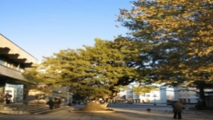 Одобриха проекта за преструктурирането на болницата в Тервел