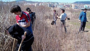 Чапловата колония в центъра на Кърджали е застрашена искат статут