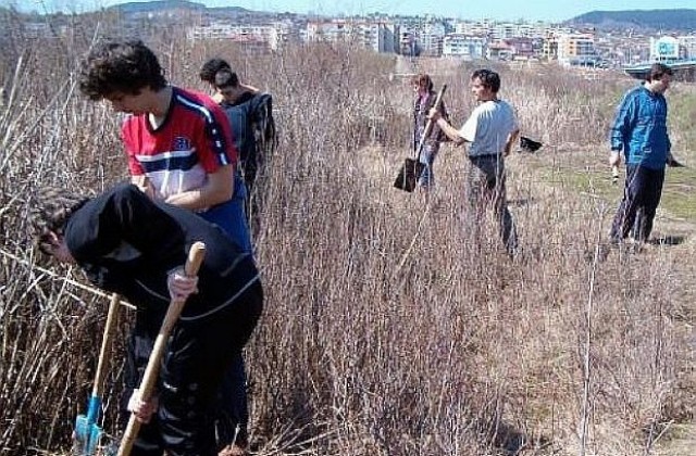 Чапловата колония в центъра на Кърджали е застрашена, искат статут на резерват