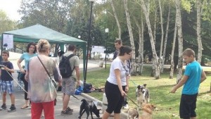 Бургазлии осиновиха седем кучета