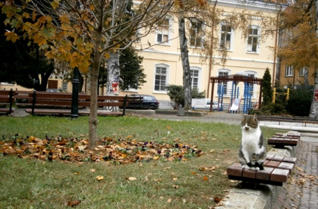 Слънце, на морето – облаци