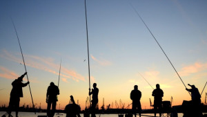 Хванаха мъж продавал незаконно паламуд срещу общината