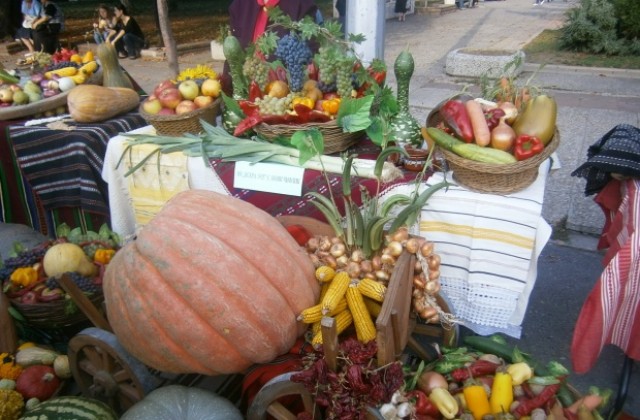60 кг тиква, много ябълки, грозде и зеленчуци на Празника на плодородието
