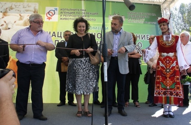 Зам.-министър Димитров и Десислава Танева откриха изложение по животновъдство край Сливен