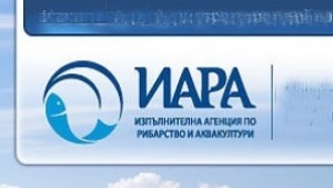 Извадиха незаконен далян край Камен бряг