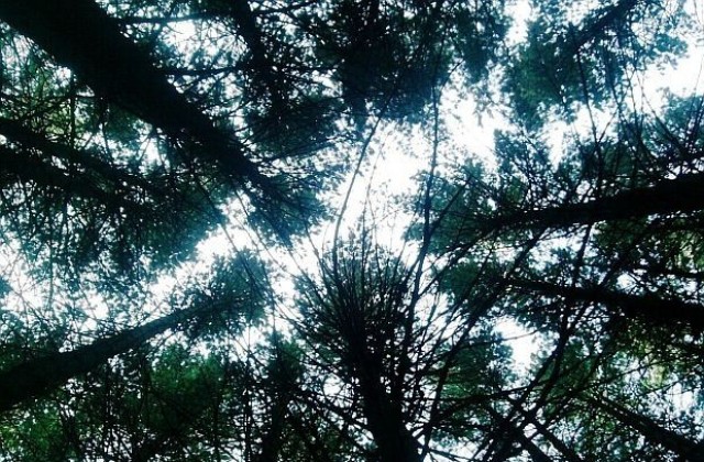 Слънчево и топло