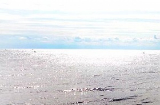 Румъния се надява да си осигури енергийна независимост с добива на газ от Черно море