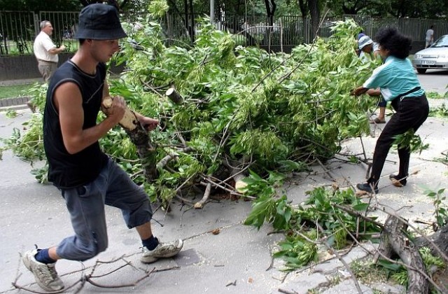 Счупен от вятъра клон в Ямбол удари жена