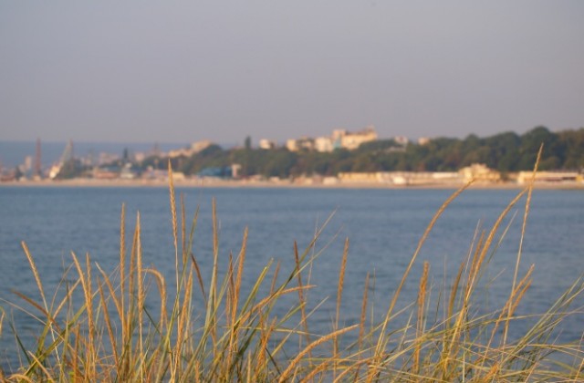 Тор от морски утайки подсилва биоземеделието ни