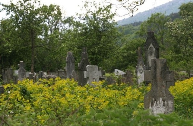 Настояват за въвеждане на образователен ценз за организаторите на погребалната дейност