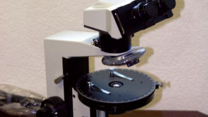 Лечението със стволови клетки найнапредналото постижение в молекулярната медицина