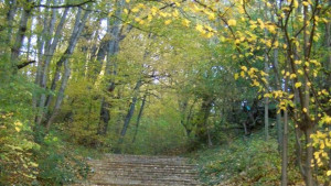 Слабо затопляне