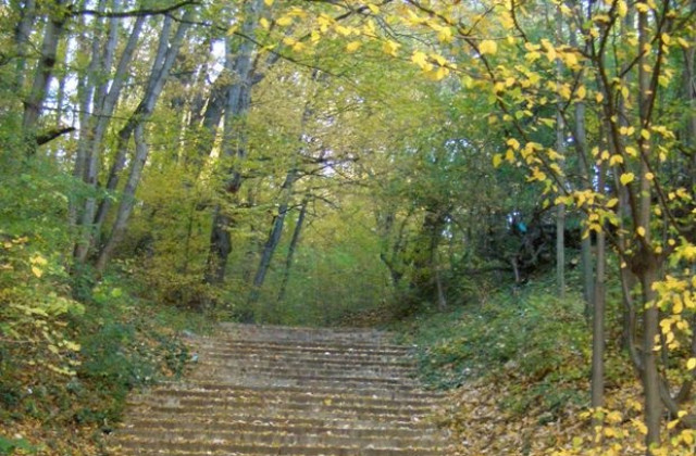 Слабо затопляне