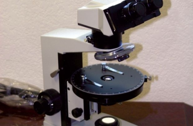 Лечението със стволови клетки - най-напредналото постижение в молекулярната медицина