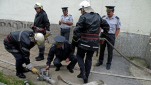 Сгради и животни изгоряха в Лом