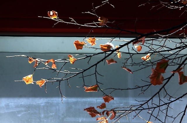 Времето през уикенда