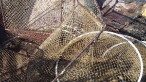 Рибари останаха без въдиците си