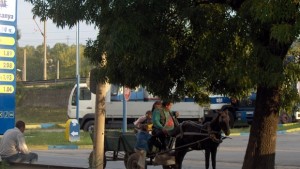 16 акта на каруцари в Габрово