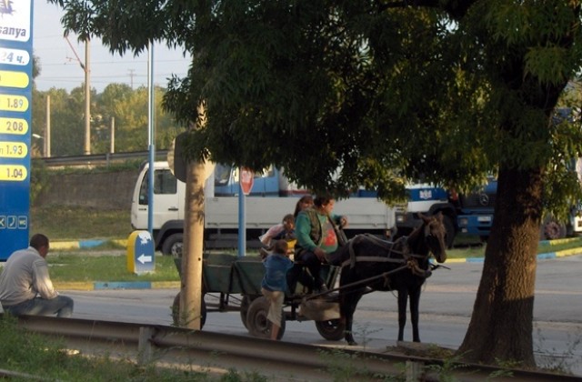 16 акта на каруцари в Габрово