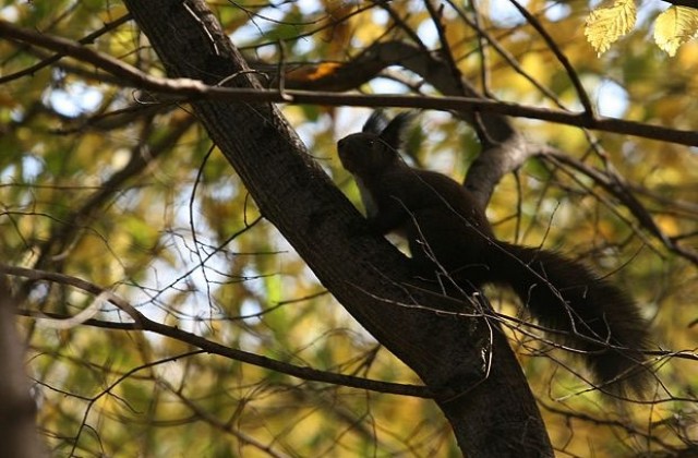 Септември тази година е счупил рекорди по температури