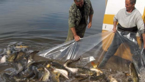 С помощта на проект общината ще ни стимулира да ядем