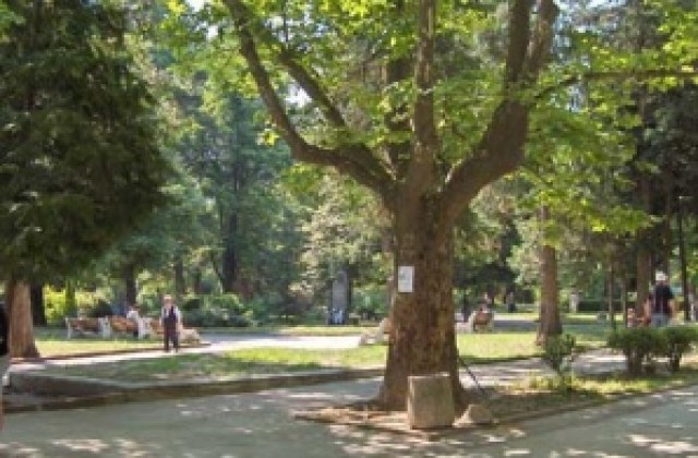 Откриха дрога, скрита в дънер