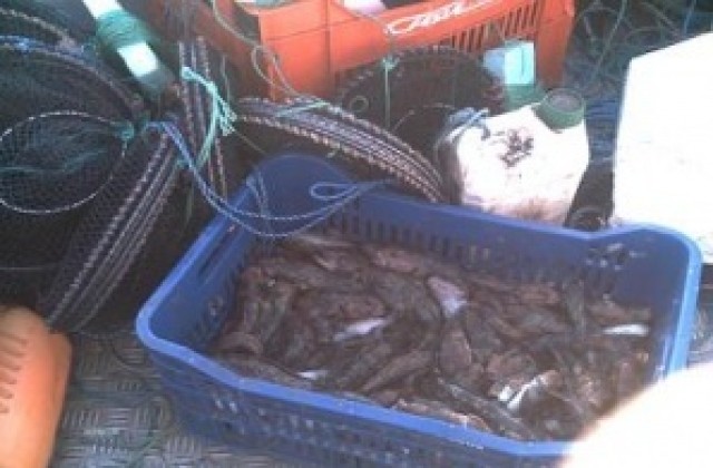 Съставиха актове на улични търговци на риба