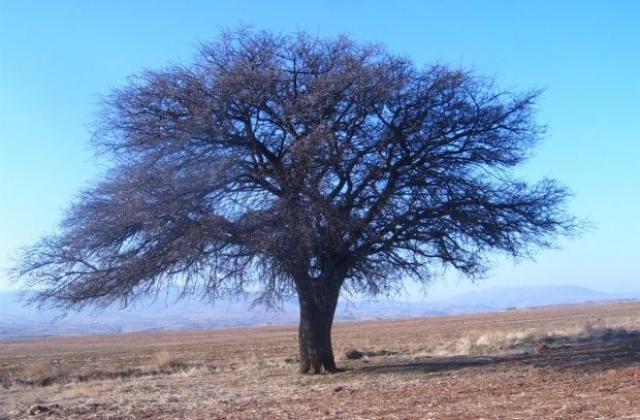 Камери и мобилни устройства за победители в еко конкурс