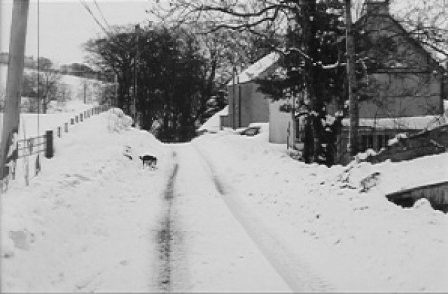 3500 тона сол за зимното почистване на Пловдив, няма да ползват пясък