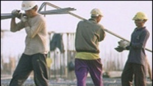 Шест трудови злополуки в земеделски предприятия от Силистренско