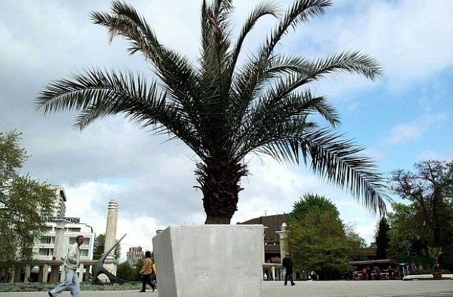 Най-тузарските имоти във Варна