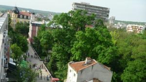 Засаждат туя и юка в парка на къща музей Цар